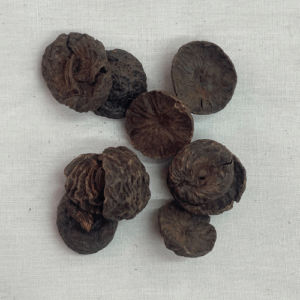 Pack of 10 Black  Beetlenut
